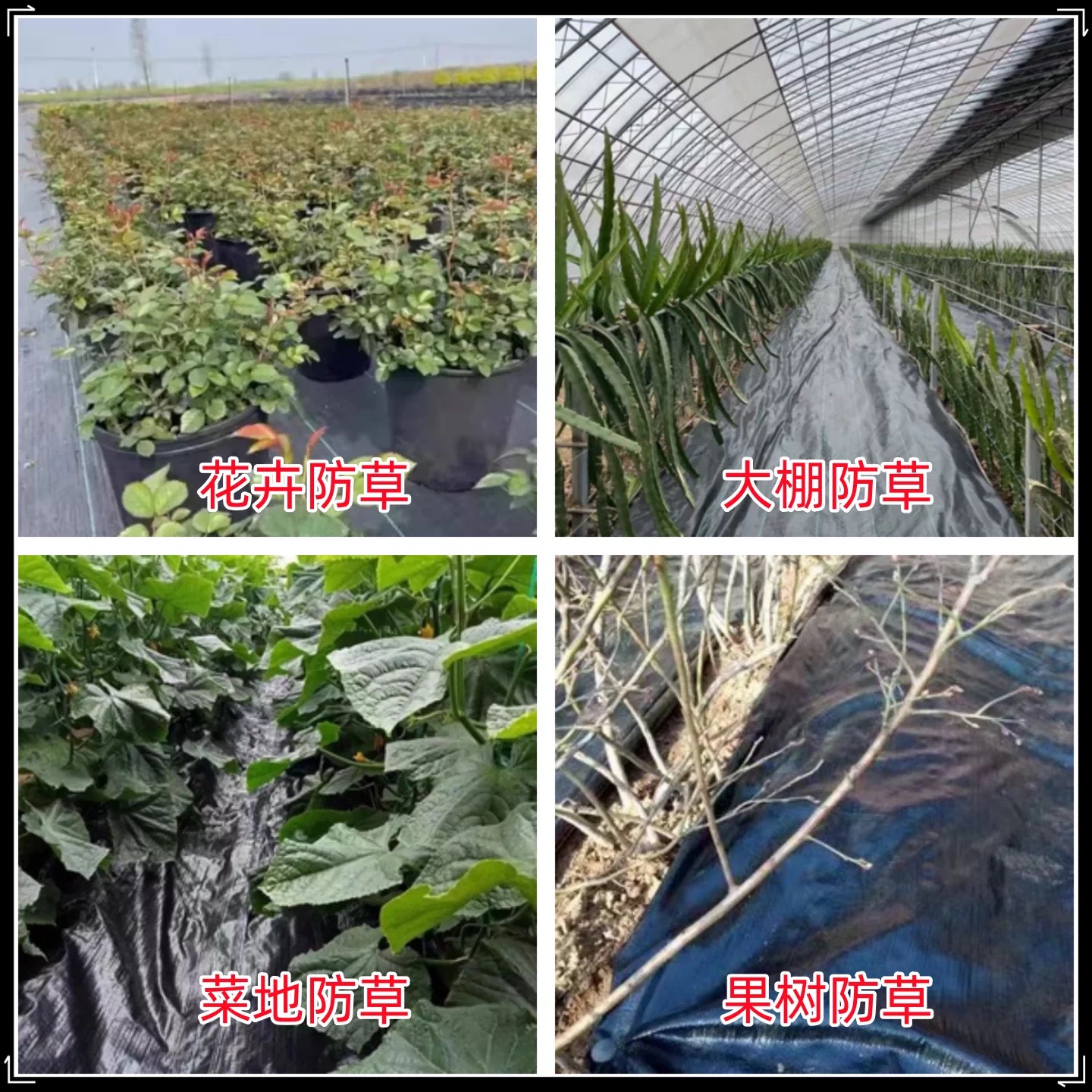 孝感市塑料薄膜防草布 - 价格